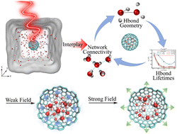 Graphical abstract: Hydrogen-bond dynamics of confined water in a nanocage manipulated by terahertz waves