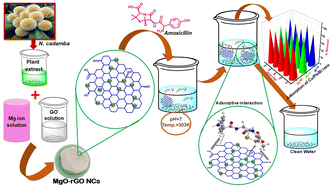 Graphical abstract: A sustainable and economical approach for effective adsorption of antibiotics and heavy metal ions using Neolamarckia cadamba-mediated MgO–rGO nanocomposites