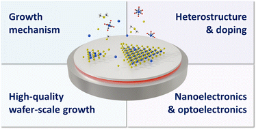 Graphical abstract: Metal-organic chemical vapour deposition of van der Waals 2D chalcogenides and heterostructures: a review