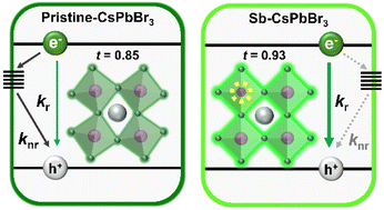 Graphical abstract: Impact of trivalent Sb3+-ion doping on charge carrier recombination dynamics of cesium lead bromide perovskite quantum dots