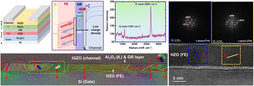 Graphical abstract: A novel high endurance HZO FeFET with monolayer graphene inserted in the gate oxide