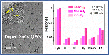Graphical abstract: Enhancing low-temperature H2S sensing performance of SnO2 quantum wires via transition metal doping and oxygen vacancy engineering