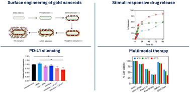 Graphical abstract: Surface-engineered gold nanorods for targeted delivery of PD-L1 siRNA and cancer chemo-phototherapy