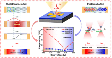 Graphical abstract: High-sensitivity broadband terahertz detection enabled by synergistic effects in an antenna-integrated TaCo2Te2/graphene heterostructure
