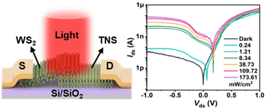 Graphical abstract: Reconfigurable optoelectronic functionality implemented in a Ta2NiSe5/WS2 heterostructure toward multifunctional applications