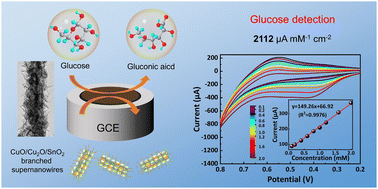 Graphical abstract: Rational design of hierarchical CuO/Cu2O/SnO2 branched supernanowires for highly sensitive non-enzymatic glucose sensors