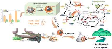 Graphical abstract: Triple-action amyloid lysozyme-coated magnetic nanospheres for highly efficient reduction and removal of Cr(vi) from environmental water