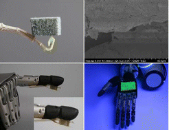 Graphical abstract: A flexible tactile sensor with decoupled multimodal sensing capacity based on melamine sponge-MXene@CsPbBr3 aerogel