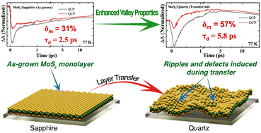 Graphical abstract: Enhanced valley polarization in MoS2via substrate-induced strain and transition dipole moment modulation