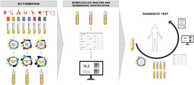 Graphical abstract: Study of the biomolecular corona of surface-modified polystyrene and silica nanoparticles: application to cancer