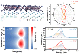 Graphical abstract: Symmetry breaking in a WS2/Te heterostructure with enhanced second-harmonic generation and strong anisotropic optical properties