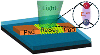 Graphical abstract: The role of molecular ambient adsorption on light–matter interactions of 2D few-layered ReSe2 photodiodes
