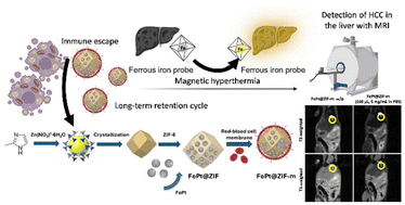 Graphical abstract: Biomimetic red blood cell membrane-coated FePt metal–organic framework nanoparticles: a multifunctional theranostic system for enhanced MRI and targeted therapy