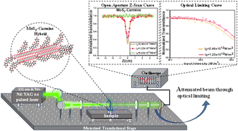 Graphical abstract: Fusing organic and inorganic materials: exploring enhanced optical limiting in a carmine–MoS2 hybrid