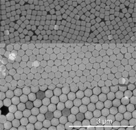 Graphical abstract: Shape effects on the 2D self-assembly of lithographically fabricated nanoparticles