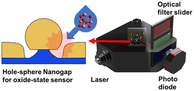 Graphical abstract: A functionalization-free plasmonic hole-sphere nanogap SERS platform for reliable on-site analysis and oxide-state classification