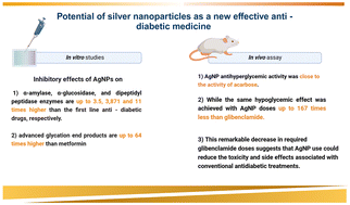 Graphical abstract: Properties of AgNPs stabilized with polyvinylpyrrolidone relevant to antidiabetic agents