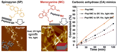 Graphical abstract: Multi-stimuli responsive nanomaterials assembled from spiropyran-containing peptoids