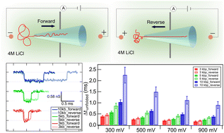 Graphical abstract: Reversible DNA translocation as a molecular caliper to probe the nanoscale asymmetry of glass nanopores