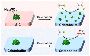 Graphical abstract: Phase transition of SiC support induces dispersed Na2WO4 catalysts for CH3Cl-to-C2H3Cl conversion