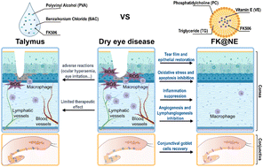 Graphical abstract: High-safety tacrolimus nanoemulsion for dry eye disease treatment through anti-oxidant and anti-inflammatory effects