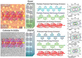 Graphical abstract: Solvent-driven self-assembly and polarized emission in nitrogen-doped graphene quantum dots