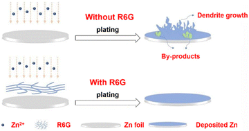 Graphical abstract: Synergistic regulation of the Zn2+ solvation environment and interfacial stability using a rhodamine 6G additive in aqueous zinc ion batteries