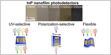 Graphical abstract: Polarization-selective, tailorable, and flexible InP nanofilm UV photodetectors