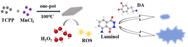 Graphical abstract: Remarkably enhanced luminol chemiluminescence with a manganese porphyrin-based metal–organic framework for the sensitive detection of dopamine