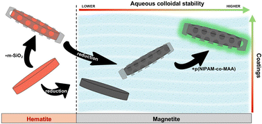 Graphical abstract: Enhancing colloidal stability of anisotropic magnetic nanodiscs through mesoporous silica and P(NIPAM/MAA) copolymer coatings
