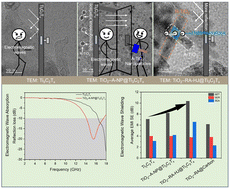 Graphical abstract: High-temperature annealing enables the dielectric modulation of MXene for enhanced electromagnetic wave absorption and shielding