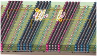 Graphical abstract: Dynamic modulation of ionic and electronic pathways in flexible SnS2-based interdigitated solid-state supercapacitors