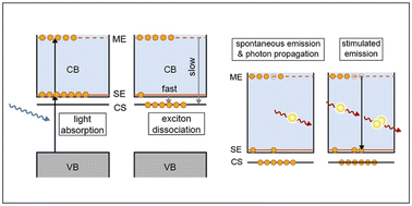 Graphical abstract: Unravelling the amplified spontaneous emission mechanism in three-dimensional metal halide perovskites