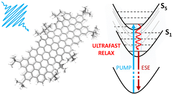 Graphical abstract: Ultrafast dynamics of relaxation in well-dispersed quantum-confined nanographenes