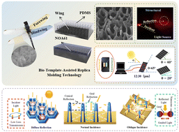 Graphical abstract: Broadband and omnidirectional antireflective film with bioinspired nanocone-grid hybrid structures for enhanced solar energy harvesting