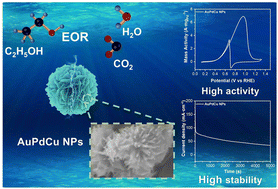 Graphical abstract: Fine-tuning and electronic modulation of AuPdCu nanoflowers assembled with nanowires for robust ethanol oxidation reaction performance