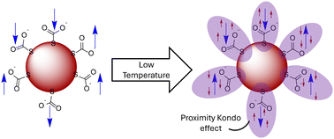 Graphical abstract: Using molecular amphiphiles to dope nano-Au with Cu2+: 20-fold higher magnetic dopant density and evidence for a proximity Kondo effect