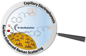 Graphical abstract: Plasmon-mediated N-dealkylation instead of chiral discrimination of the drug propranolol adsorbed on gold nanoparticles