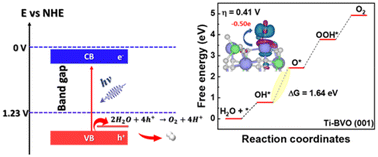Graphical abstract: Charge transport and trap state engineering in transition metal-doped bismuth vanadate photoanodes: a DFT study