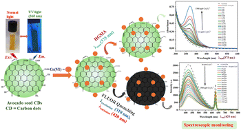 Graphical abstract: Enhanced absorption and fluorescence quenching methods for the quantitative analysis of Cr(vi) ions using avocado seed-derived carbon quantum dots as pseudo-derivatising reagents