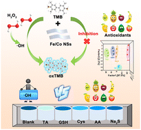 Graphical abstract: Distinction of antioxidants using a three-channel colorimetric sensor array constructed with a bimetallic FeCo nanozyme