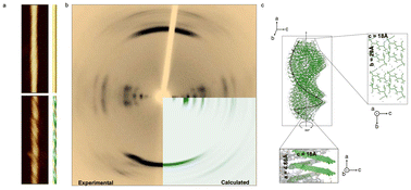 Graphical abstract: The supramolecular architecture of amyloid fibrils formed by a human tau-derived hexapeptide VQIVYK