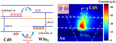 Graphical abstract: A van der Waals stacked CdS /WSe2 heterostructure for high-performance photodetection