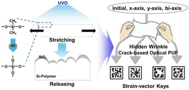 Graphical abstract: Mechanically encoded strain-vector keys as physical unclonable functions