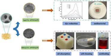 Graphical abstract: A TA–APTES coating as a chemical playground: engineering the shift from chemical traits to bactericidal power in superhydrophobic PU sponges