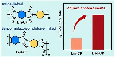 Graphical abstract: Rational design of benzoimidazoisoindolone-linked conjugated ladder polymer for enhanced visible-light-driven photocatalytic water oxidation