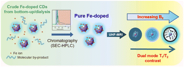 Graphical abstract: Fe-doped carbon dots as dual-mode T1/T2 nano-contrast agents for ultra-high field MRI