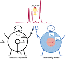 Graphical abstract: Medium matters: modeling the luminescence spectra and emission decay of LaPO4:Eu3+ nanoparticles