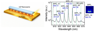 Graphical abstract: Deterministic mode analysis of InP plasmonic nanowire lasers