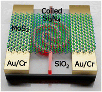 Graphical abstract: Ultracompact on-chip coiled waveguide-integrated photodetectors enabled by 2D materials with enhanced responsivity